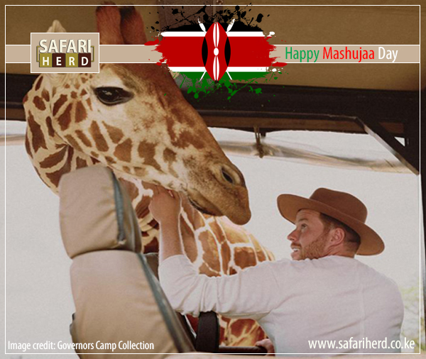 SafariHerd's tweet photo. #TwashangiliaShujaa This nation will remain the land of the free only so long as it is the home of the brave. Lets be like our independence #MashujaaHeroes. #HappyMashujaaDay2021 https://t.co/oItcXJQtI2
