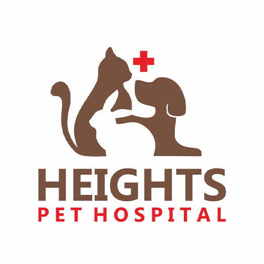 DesignCrowd's tweet photo. Need some inspiration for your next logo-making session?

You’ve come to the right place. 

Get 𝐢𝐧𝐬𝐩𝐢𝐫𝐞𝐝 right here: 
𝟑𝟎 𝐥𝐨𝐠𝐨 𝐢𝐝𝐞𝐚𝐬 𝐟𝐨𝐫 𝐲𝐨𝐮𝐫 𝐬𝐦𝐚𝐥𝐥 𝐛𝐮𝐬𝐢𝐧𝐞𝐬𝐬. https://t.co/iroO4HkVKu

💼
#logomaker #creativelogoideas  #logo #BusinessOwner https://t.co/EMCFSgiVgW
