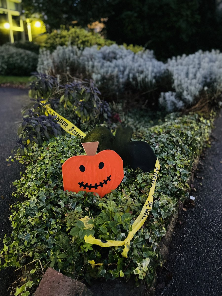 Loretta_Palmer's tweet photo. Looking spooktacular @IvyChimneys @FOICs this morning. Well done to all involved. 🎃👻🐈‍⬛ https://t.co/1kywVYMSeV