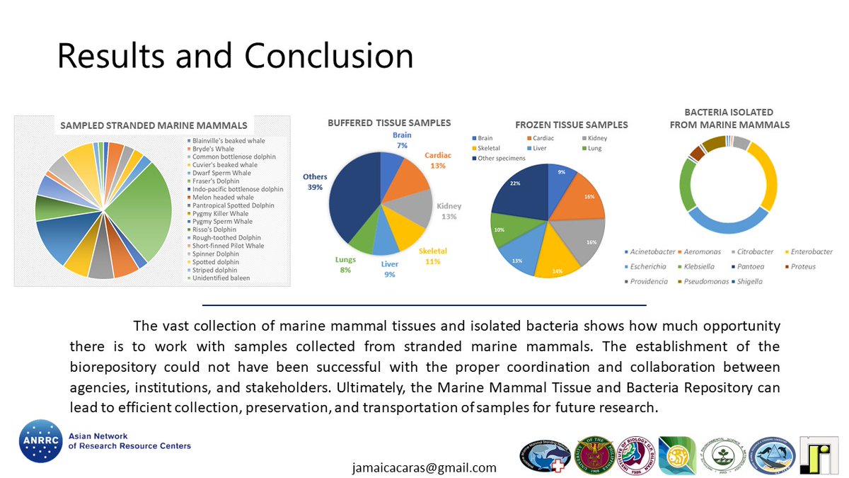 paperjaamm's tweet photo. Stranded marine mammals? Oh whale! Find out how this unfortunate event can be an opportunity for science: Bacterial collection and tissue repository from cetaceans stranded in the Philippines from 2017-2021. 🐬🐳🔬🦠🧫 @anrrc2021   
 #ANRRC2021 #COVID19 #SDG https://t.co/a7Ima3tWJK