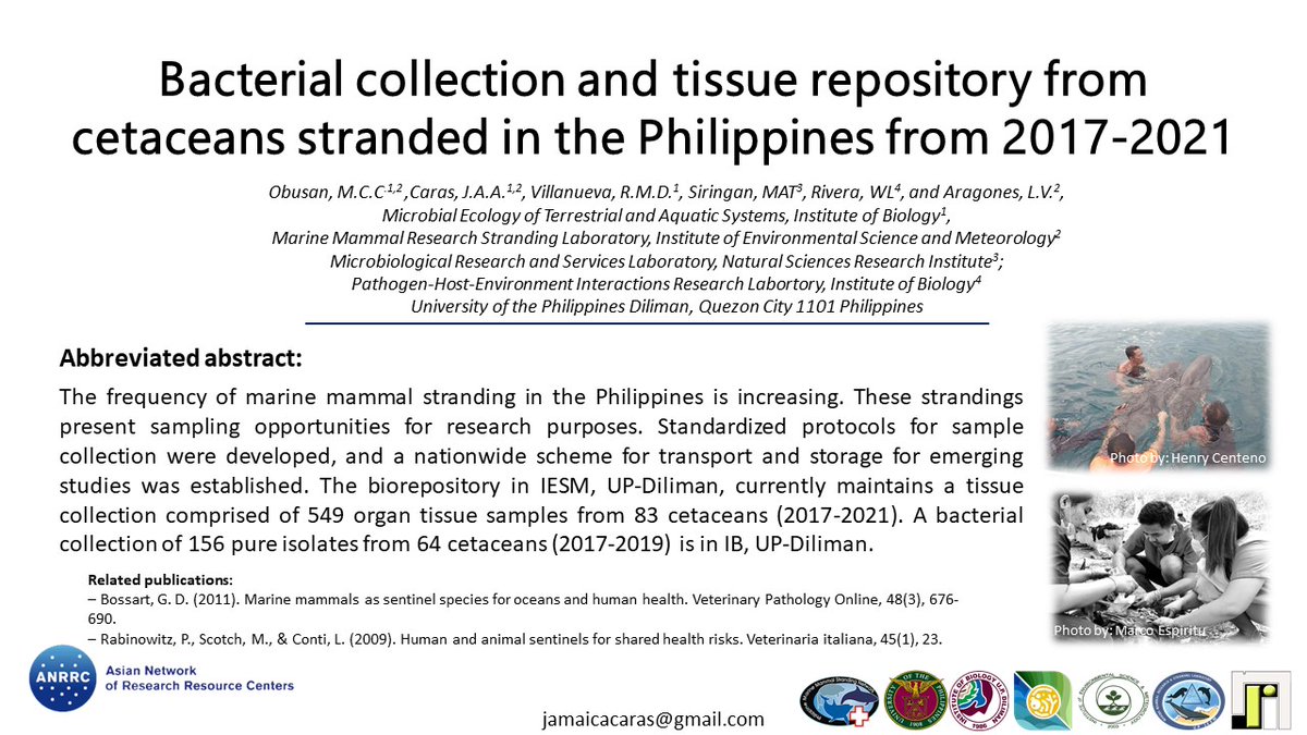 paperjaamm's tweet photo. Stranded marine mammals? Oh whale! Find out how this unfortunate event can be an opportunity for science: Bacterial collection and tissue repository from cetaceans stranded in the Philippines from 2017-2021. 🐬🐳🔬🦠🧫 @anrrc2021   
 #ANRRC2021 #COVID19 #SDG https://t.co/a7Ima3tWJK