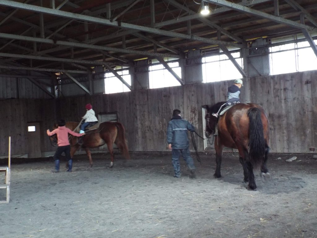 JNmgVRChxth7516's tweet photo. 生憎の天気でしたが、歌笛保育所の園児達が「馬との触れ合い事業」で引き馬体験に来てくれました！最初は怖がって泣いていた子達も馬が動き出すとすっかり自信を持って楽しんでくれた様です♪歌笛保育所の皆様ありがとうございました😊 https://t.co/cvZ7hyoPrC