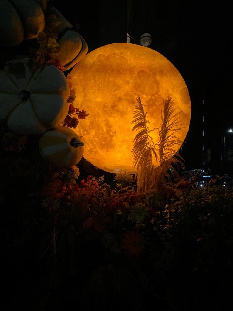 Narinder_1469's tweet photo. 🍂 🌝 Moonlight drowns out all but the brightest …⚡️Hunter’s #moon with the fellowship 🤍

 #Edinburgh #Scotland #LOTR 

Photo credit:@detroitsikh https://t.co/jp2NRG0VrT