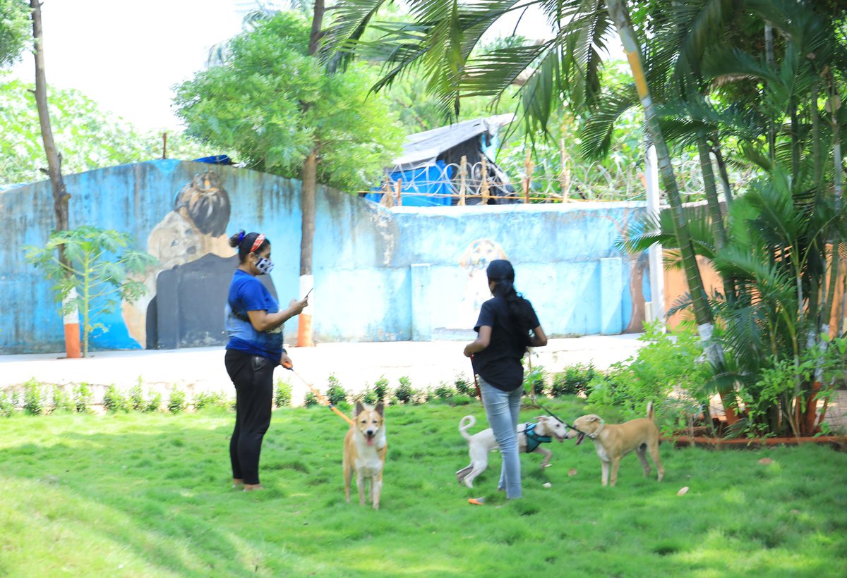 AUThackeray's tweet photo. Inaugurated a Pet Park at K/West Ward in Versova today. I thank corporator Pratima Khopde ji for this initiative that opens up space for our furry friends in the city. A special thanks to Shailesh Fanse ji and Dr. Kaul for their support. https://t.co/1Hmffx2P70