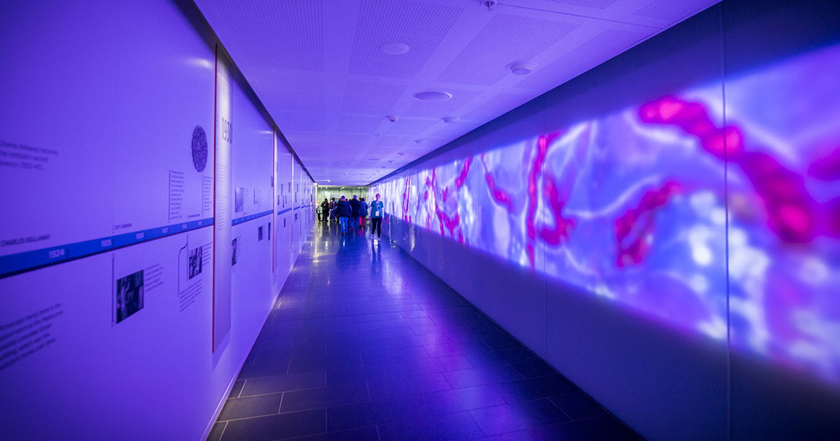 WEHI (Walter and Eliza Hall Institute) tweet media
