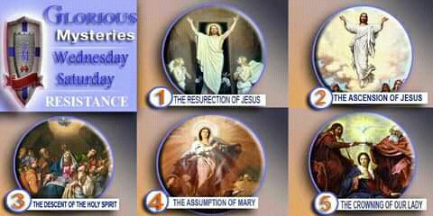 prayforus101's tweet photo. Please join us in praying the Holy Rosary that a NEW POPE will come to restore &amp; Bring back the Holy TRADITION to our Holy Catholic Church. https://t.co/VSplYzRyM7