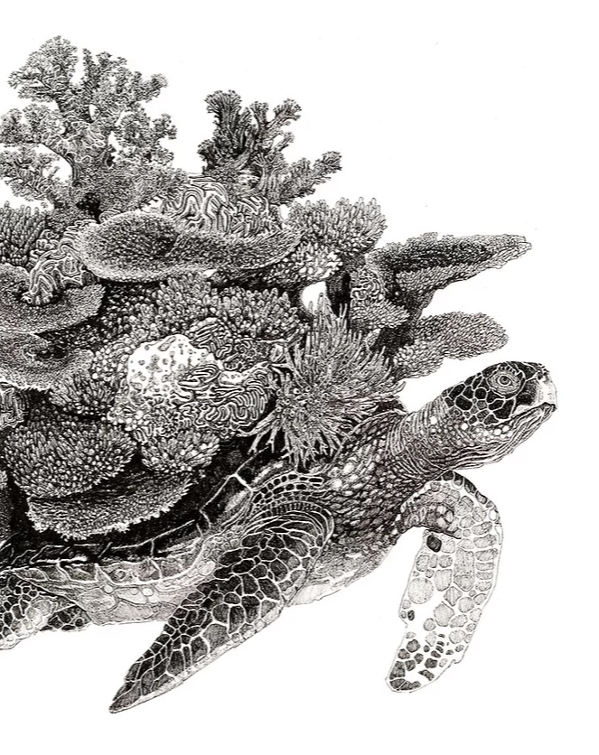 art&amp;York ONLINE 2021 launches this Friday! Here's a sneak peek at artist Olivier Legers beautifully detailed work... - mailchi.mp/artand.co.uk/a…