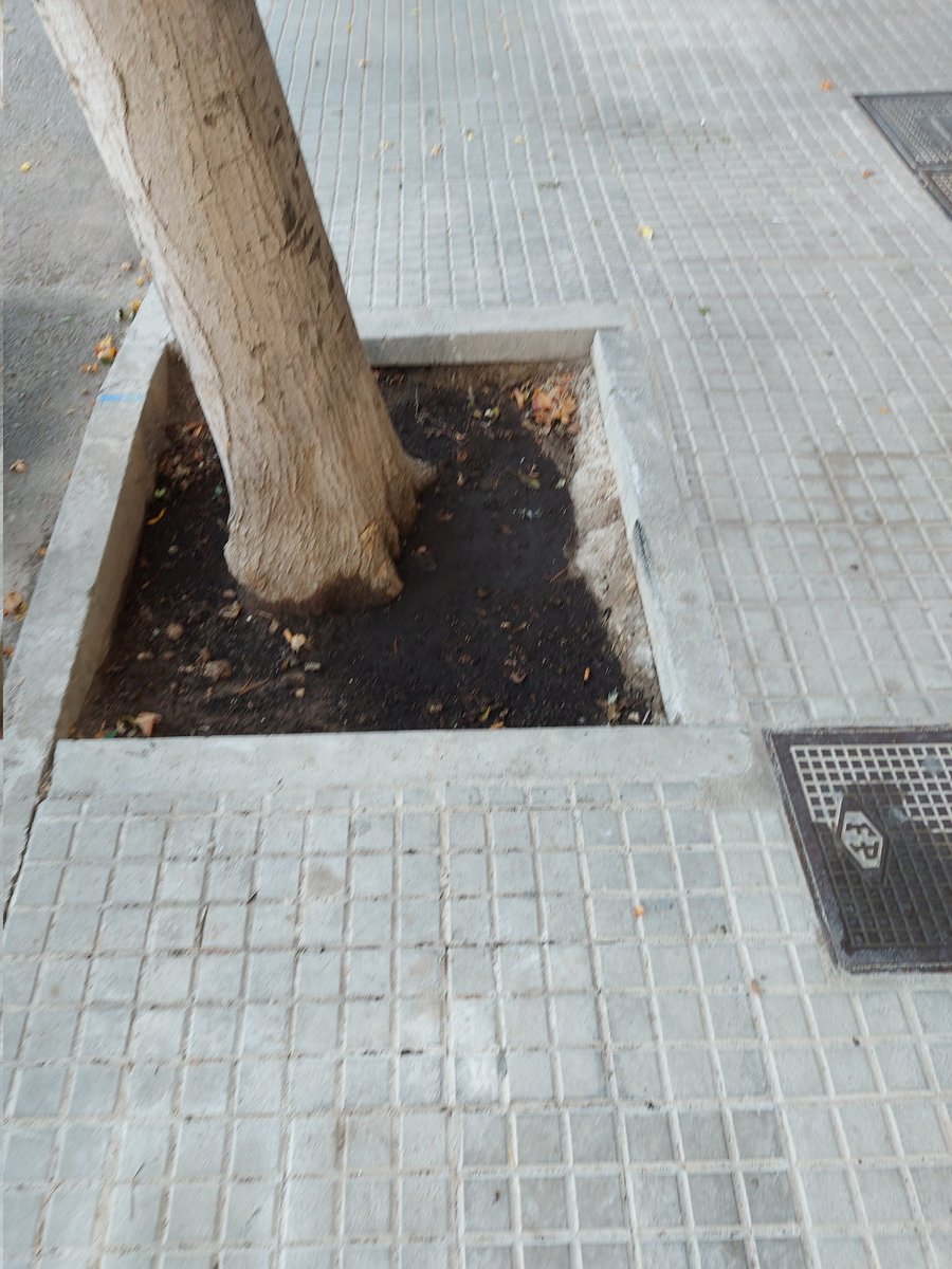 👉 Seguimos trabajando #CentratsenlAlternativa 
✔Conseguimos que reparen la acera y el alcorque de una de las solicitudes de esta iniciativa que presentamos <a href="/popularespalma/">PP Palma</a> en <a href="/DistrictePonent/">Districte Ponent</a>