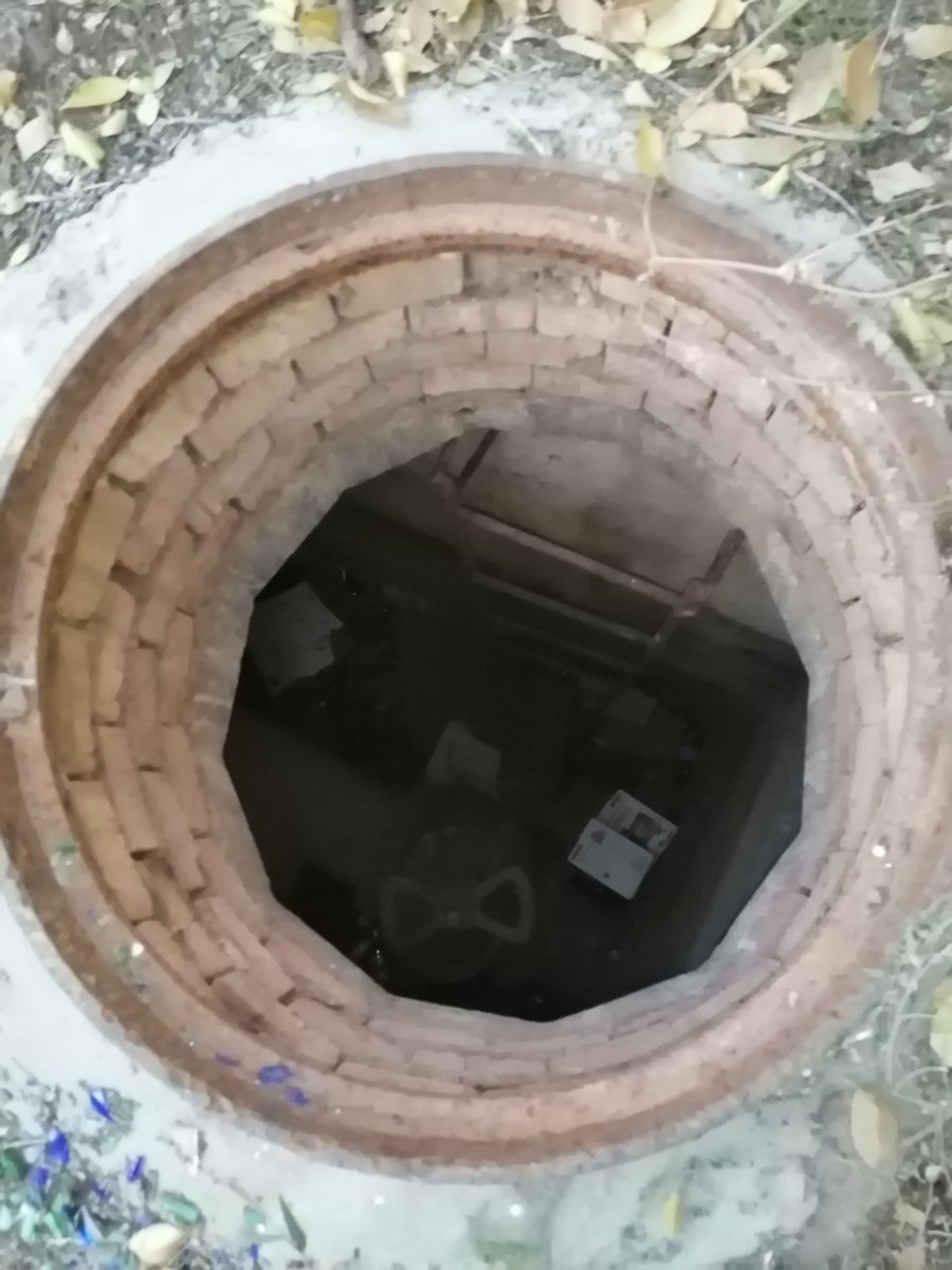 Alexander tweet media