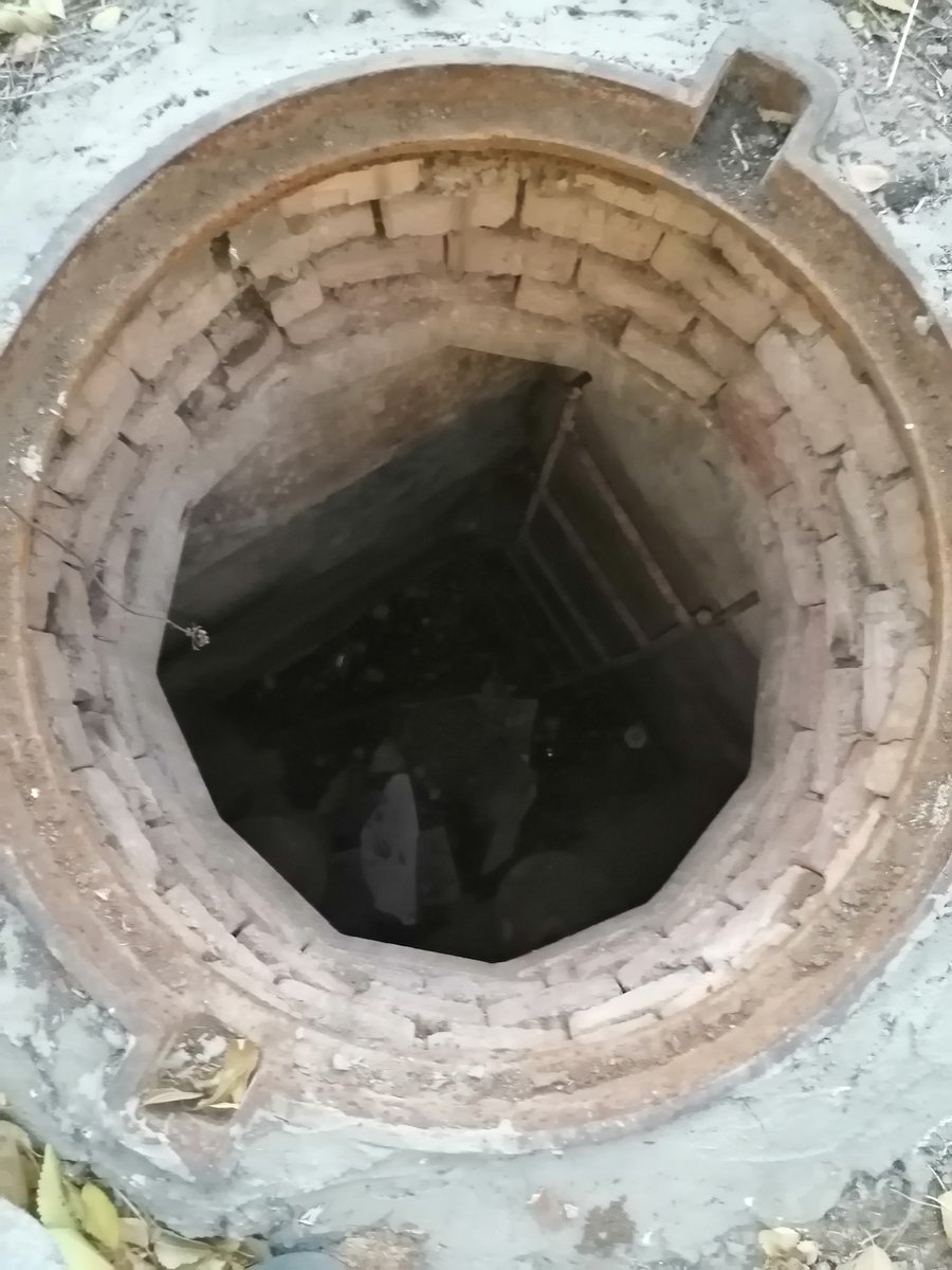 Alexander tweet media