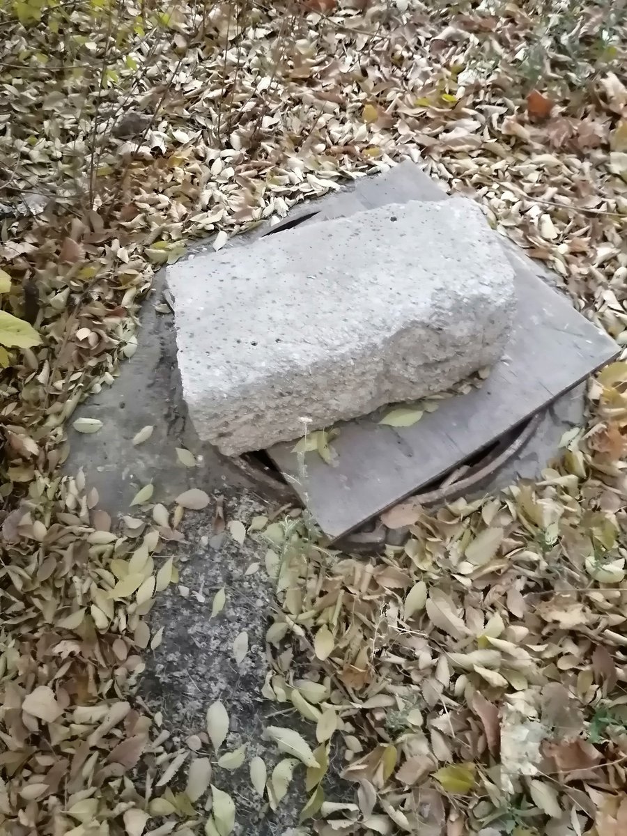 Alexander tweet media