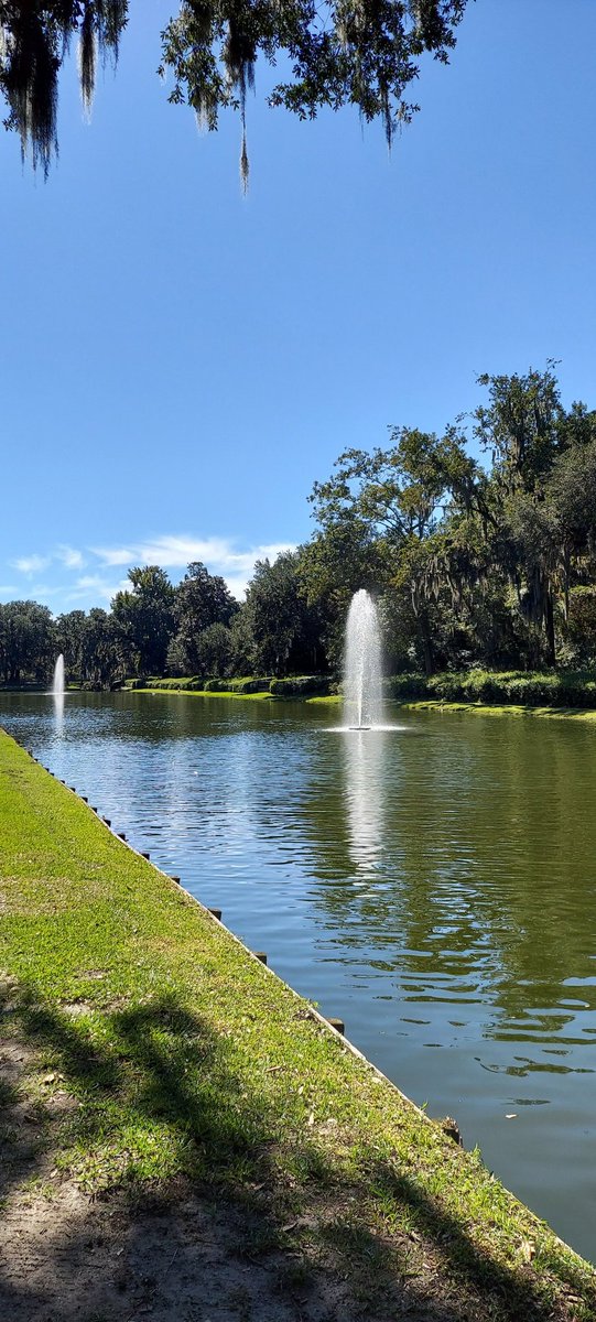 AurelieBonal's tweet photo. A beautiful day at #MiddletonPlace. https://t.co/GNIlxZxwcb