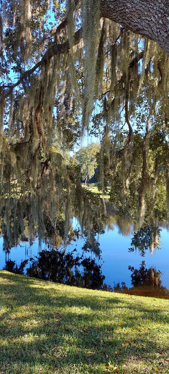AurelieBonal's tweet photo. A beautiful day at #MiddletonPlace. https://t.co/GNIlxZxwcb