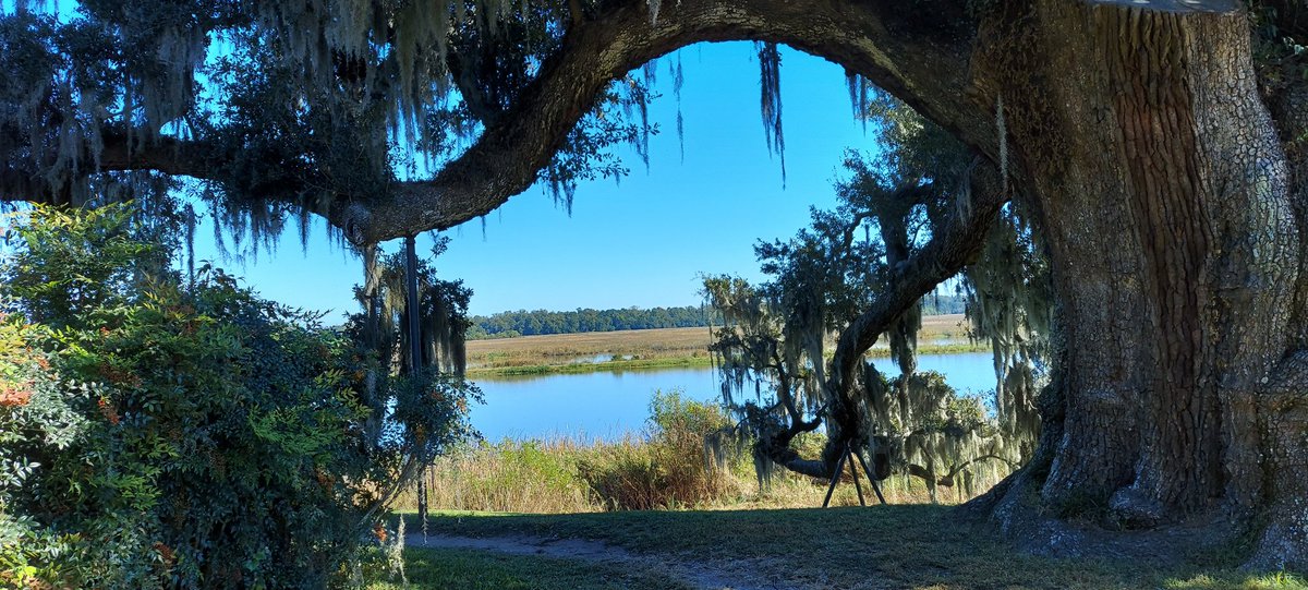 AurelieBonal's tweet photo. A beautiful day at #MiddletonPlace. https://t.co/GNIlxZxwcb