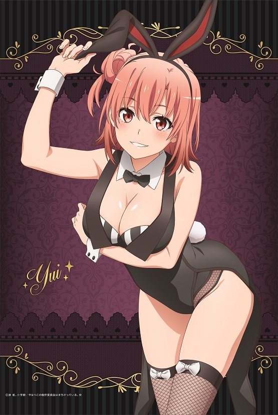 Oregairu Girls Wear Bunny Girl Costumes for Don Quijote Collaboration