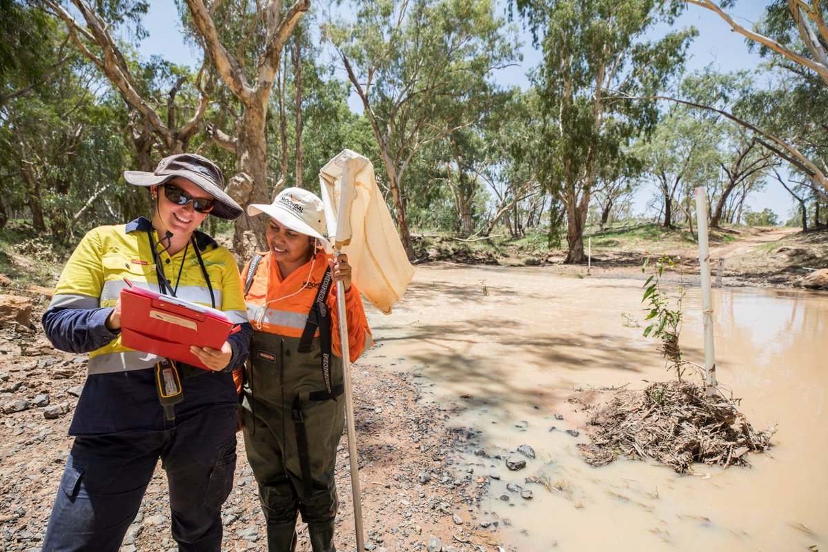 Bravus Mining & Resources tweet media