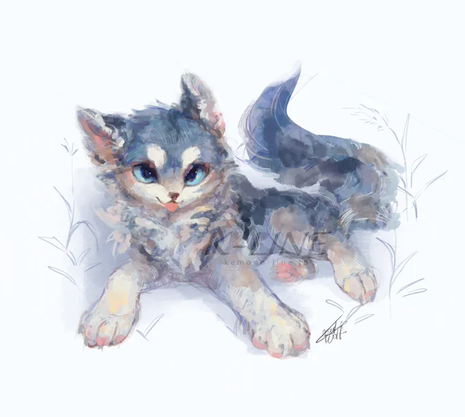 こいぬ的な狼🐺 #RadysSketchbook 