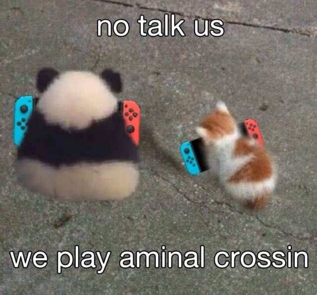 cozydalia's tweet photo. the entire ac community november 5th and every day after that https://t.co/qpo8tn4asX