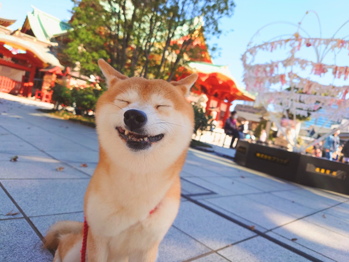 神田明神edocco Cafe Masu Masu Kandamyojincaf2 Twitter