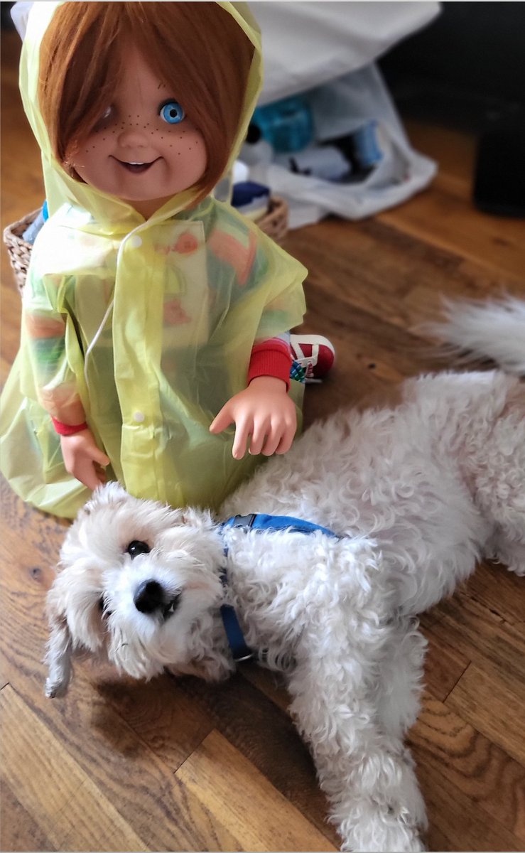 Proudfan92's tweet photo. @ChuckyIsReal we're having a killer time watching Chucky. #chuckyshow #CHUCKYTVSERIES https://t.co/u08hULtSOy