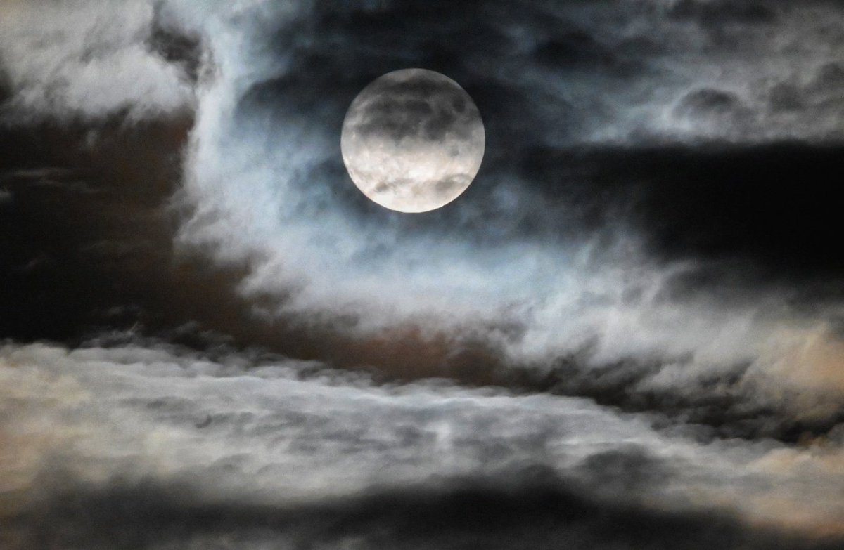 cnikonshooter's tweet photo. This one cleaned up a bit better.
#lunarphotography #shootthemoon #snapthemoon #nikon #nikonphotography #nikonphoto #nikonz50 #sigmalens #NightPhotography https://t.co/Bl2VGfVEms