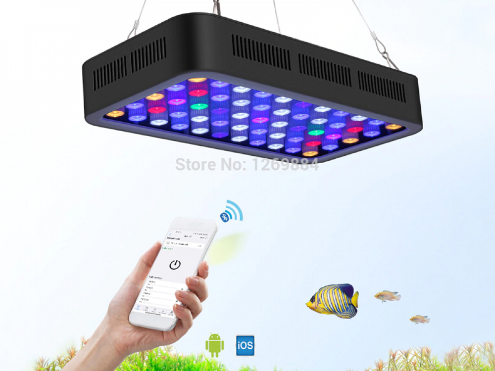 ADirectrory's tweet image. Order Bluetooth LED Aquarium Marine Light with confidence!
Price starts from 120.00 GBP
Tag a friend who would love this!
Get it here —-&amp;gt; aquarium.directory/product/blueto…
#bluetoothcontrol #coralfish #dimmablelight
#platy