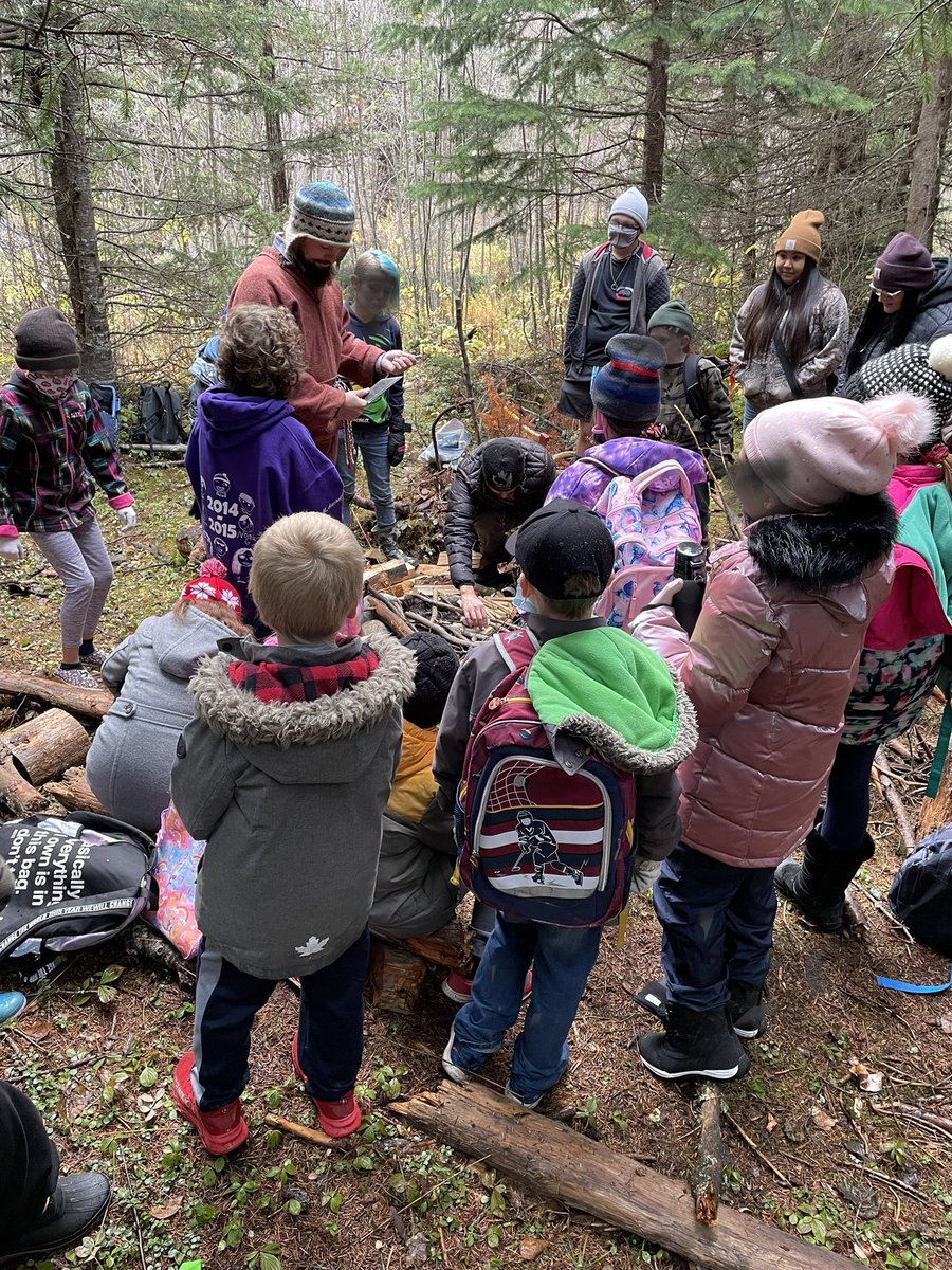 Dead Pine Collective tweet media