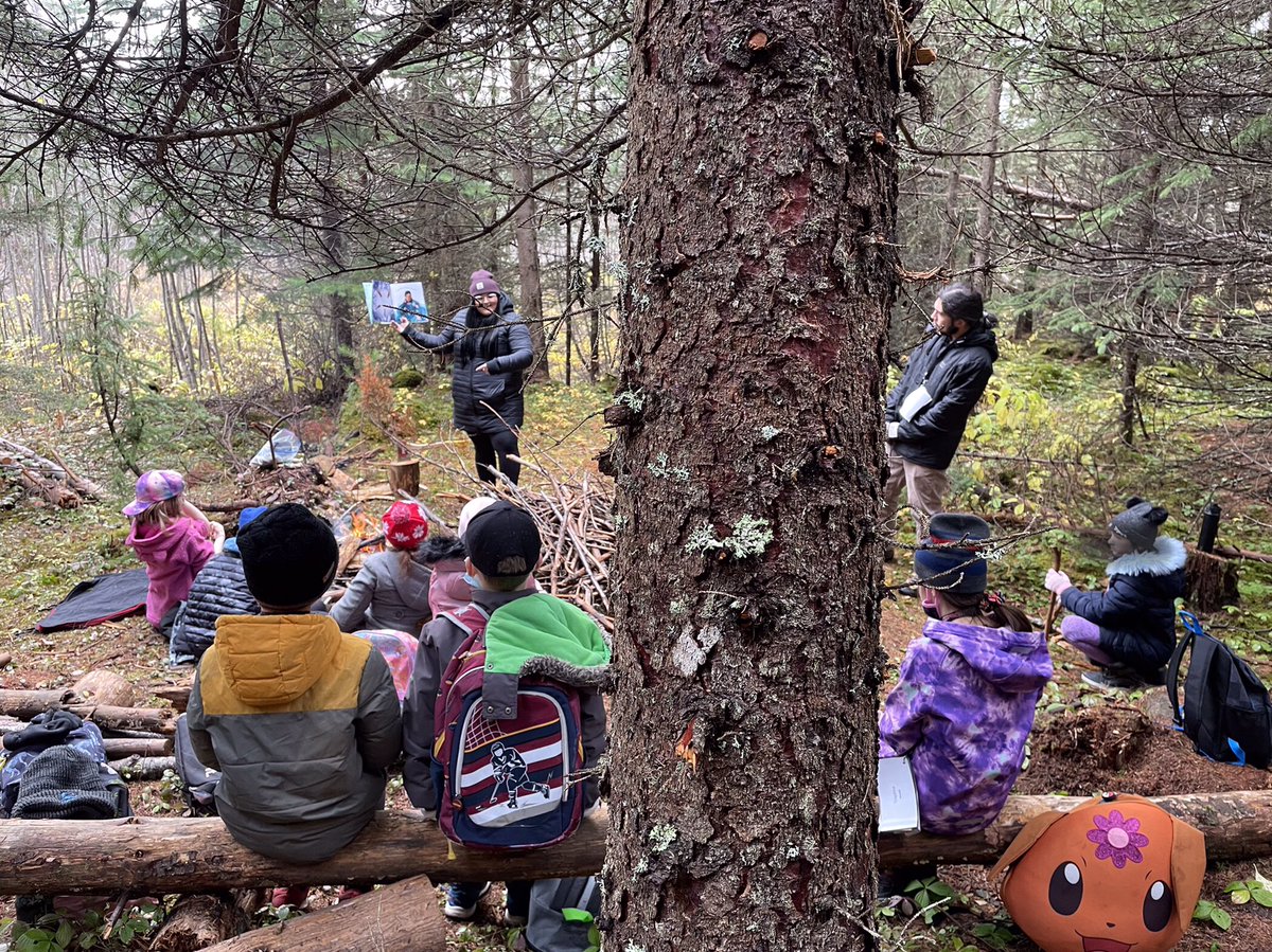 Dead Pine Collective tweet media