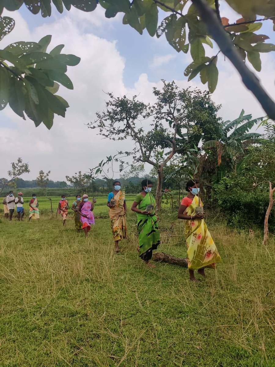 CASA_India's tweet photo. Building communities that can battle the destabilising impact of catastrophes ranging from droughts to floods and cyclones is one of the core missions of  CASA. 
#75YearsOfLegacy #CASAinAction https://t.co/H0IMpl2EaN