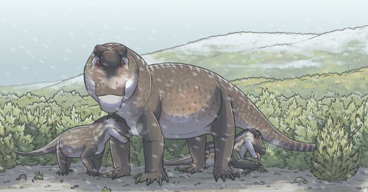 this mama Anteosaurus is pretty tired of 1-in-a-million events - first twins, and now snow in the late permian of south africa
what's next, a mass extinction? https://t.co/Isyf7yVoHW