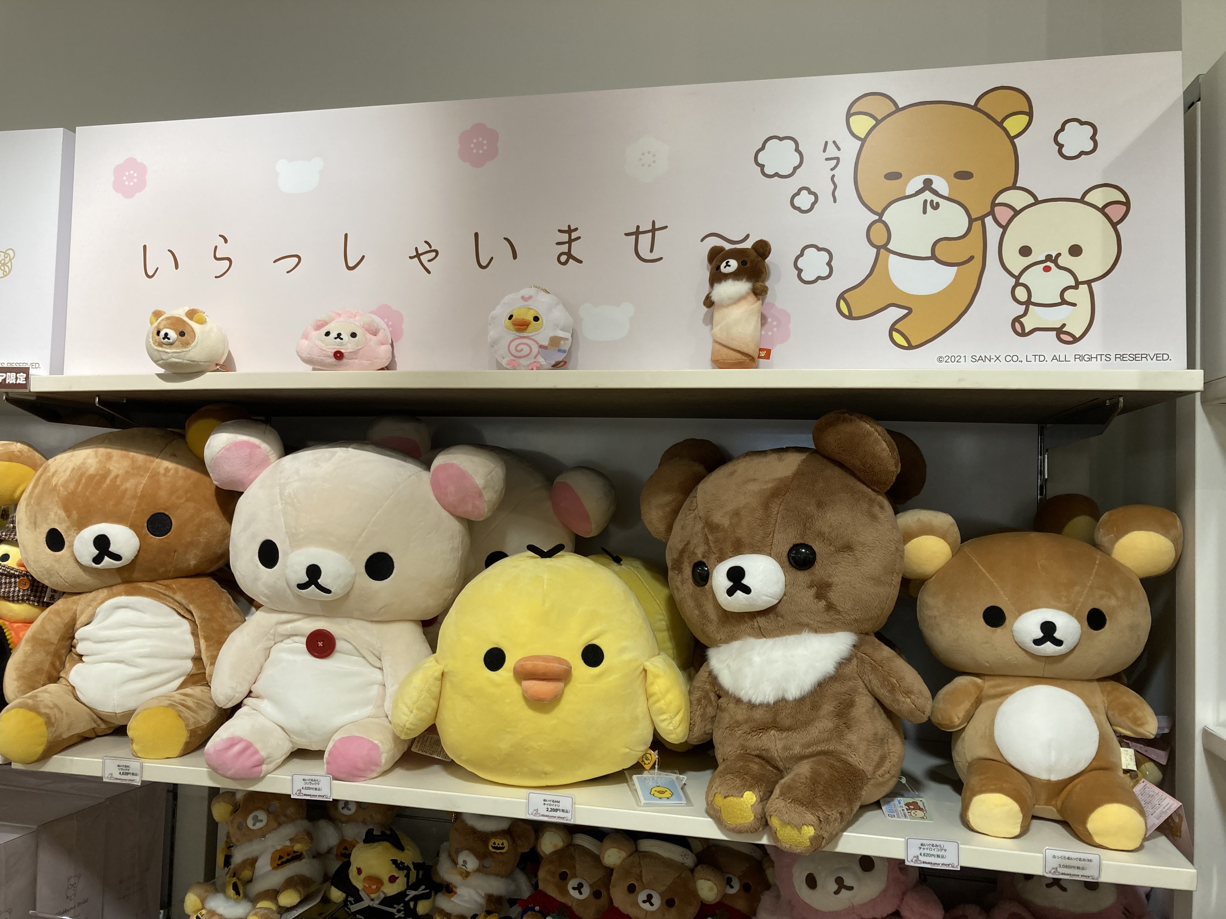 リラックマストア&すみっコぐらしshop【公式】 on X: 