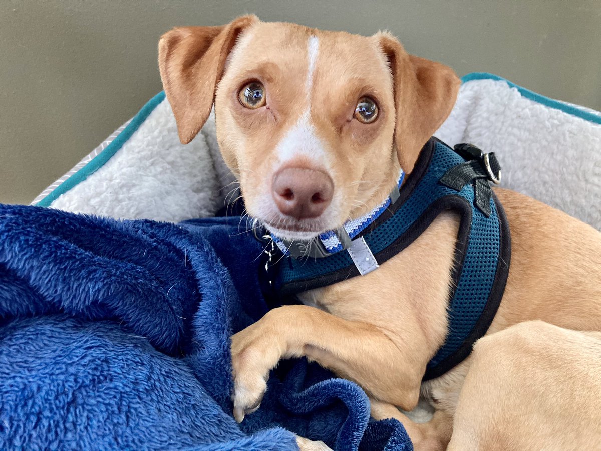 Grant Smith tweet media