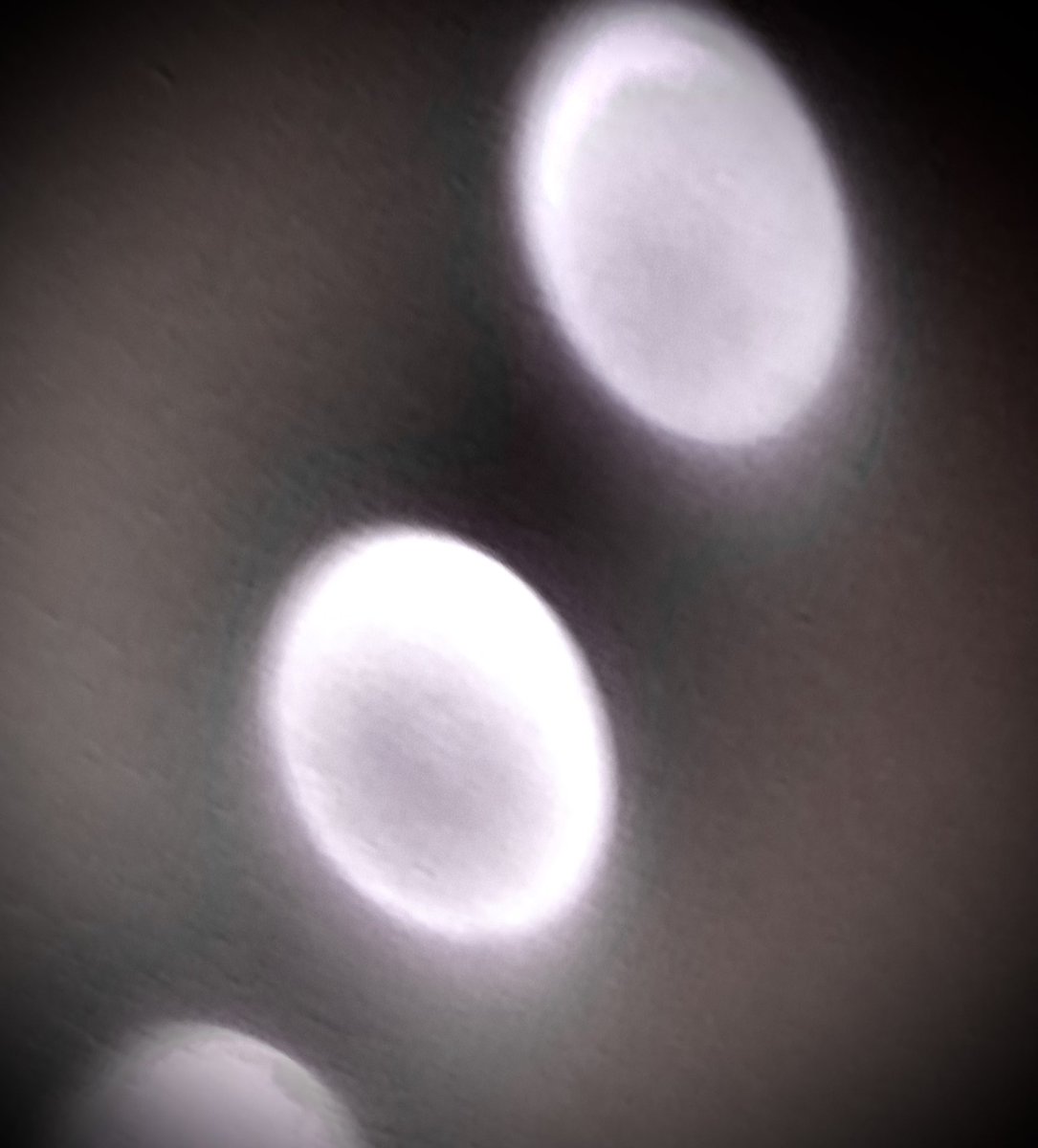 FTX1010's tweet image. What over Lake Michigan!?