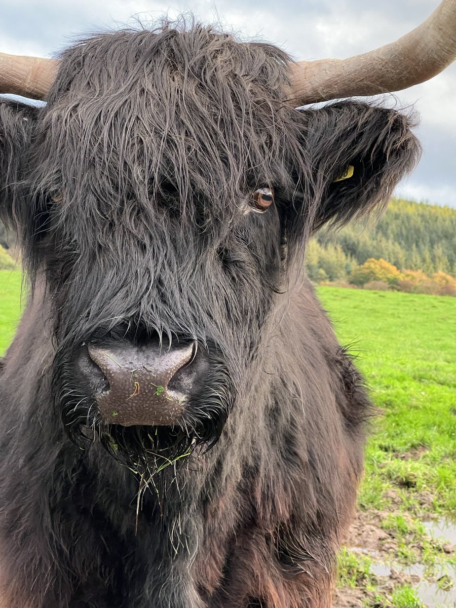 unplugged_187's tweet image. Wondering around the Isle of Bute visiting family. #isleofbute #iPhone13Pro #editfree #Scotland