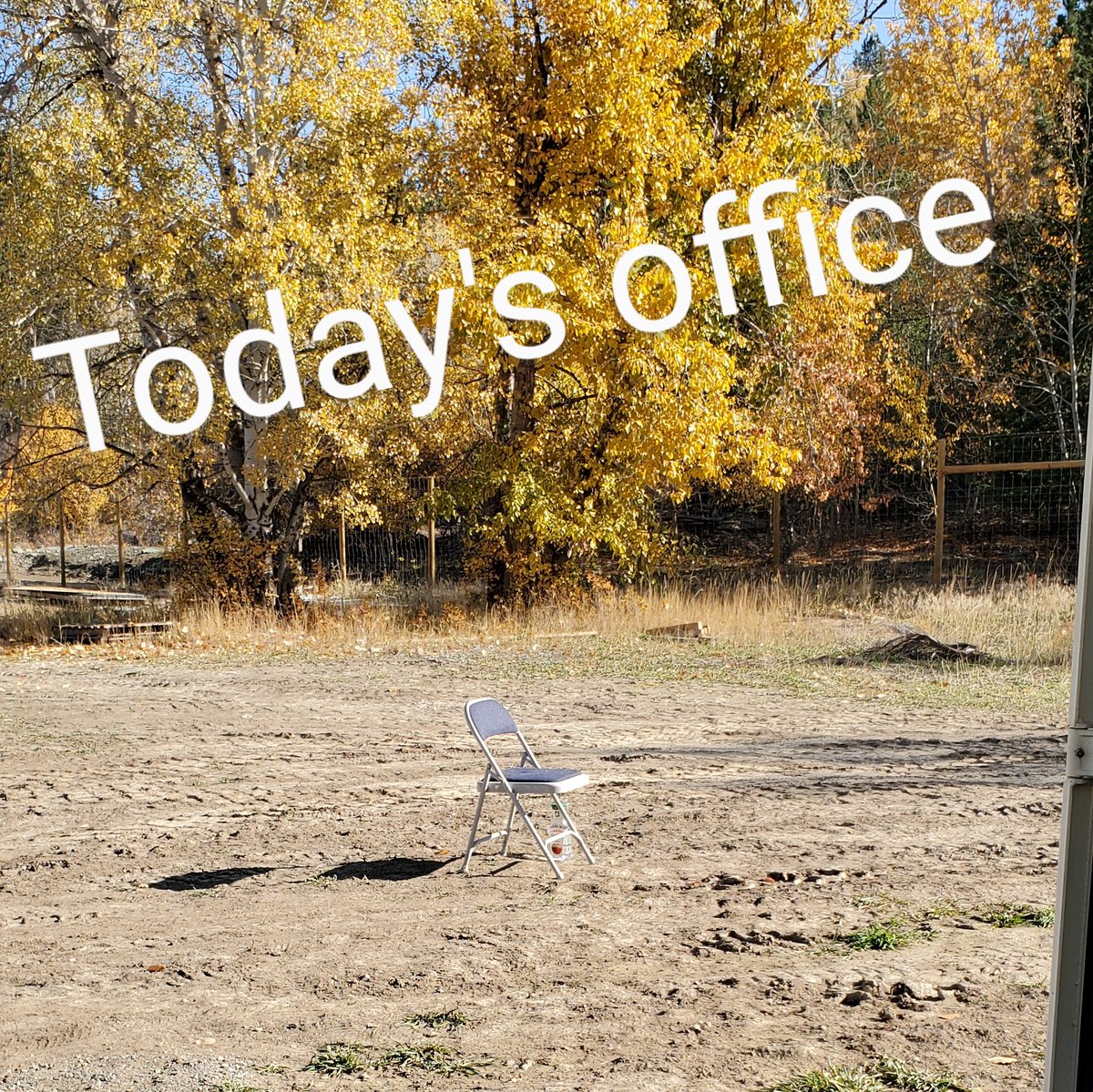 There are days when I find myself thinking: "this isn't where I thought a degree in #astrophysics would take me." 

Today was one of those days

I'm not complaining

#womeninstem #astronomy #physics #officespace #nostaplershere