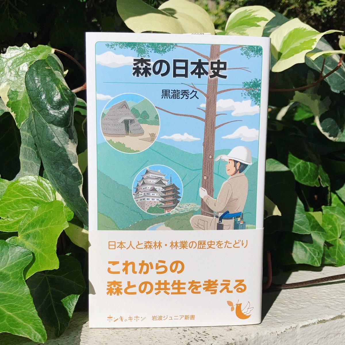 岩波ジュニア新書 on X: 