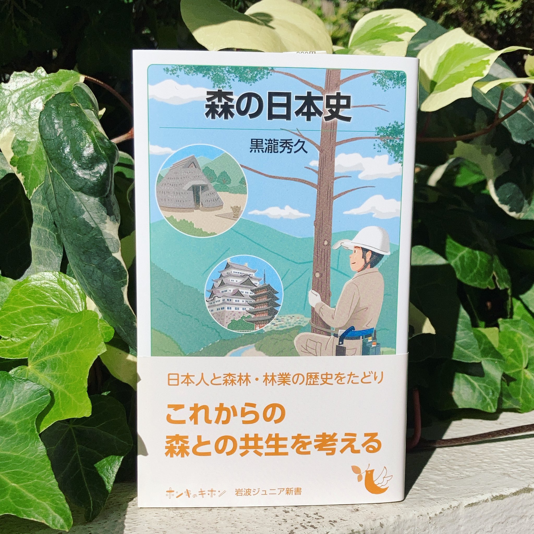岩波ジュニア新書 on X: 