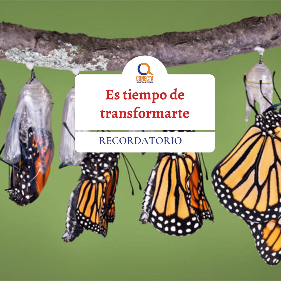 Conectard1's tweet photo. Hemos sido creados con la capacidad de transformarnos y esto se puede considerar un arte y también un regalo.

En realidad, podemos vivir varias vidas en una sola y en ocasiones vidas muy contrastadas y diferentes. 

#abrohilo
#TransformateTaller https://t.co/4J97hCunWr