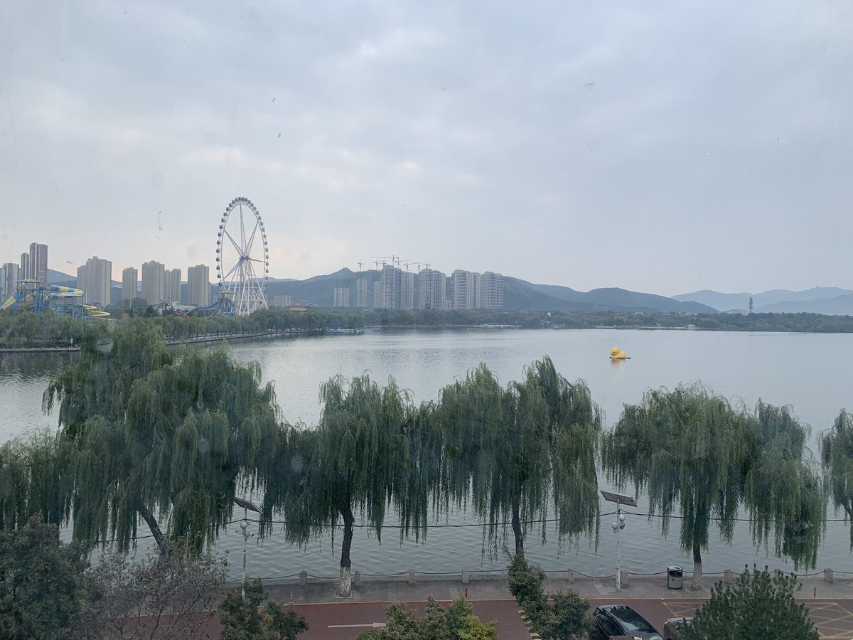 假正经 tweet media