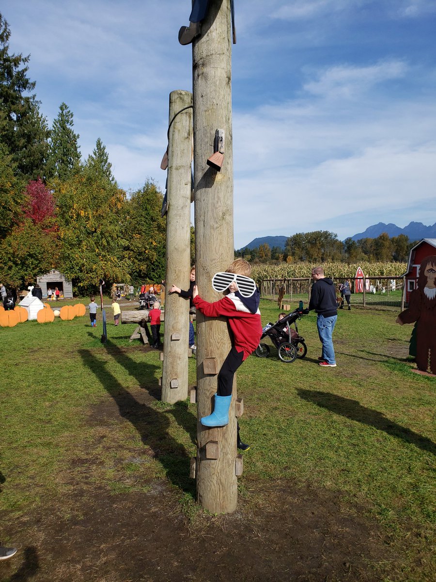 JGillmpsd's tweet photo. Such an amazing experience to take our students to @laitypumpkinpatch
The smiles, the learning,and the excitement was endless. A true example that education has no borders. Thankful for our volunteers and amazing weather. #lovefieldtrips #pumpkinpatch
#outdoorlearning https://t.co/EntlkW3BVT