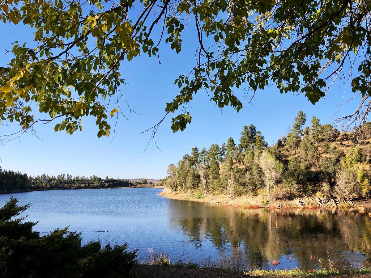 NearAndFarAZ's tweet photo. A bit of October technicolor at Lynx Lake.ππΎπ #PrescottAZ @PrescottNF #LynxLake #FallColors #ArizonaFallColors https://t.co/IlbZJT0je9