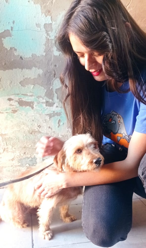 CClotos's tweet photo. #Olgui rescatada de barrera lote 4, con fractura de tibia, bajo peso, repleta de piojos, problemas en piel y sin castrar, recibió excelente atención en veterinaria La Cucha. La cuidó con Amor @florencia.escurra.714 , se ocupó d bañarla con champú medicado, alimentarla, mimarla,.. https://t.co/CsQ6Drsvqv