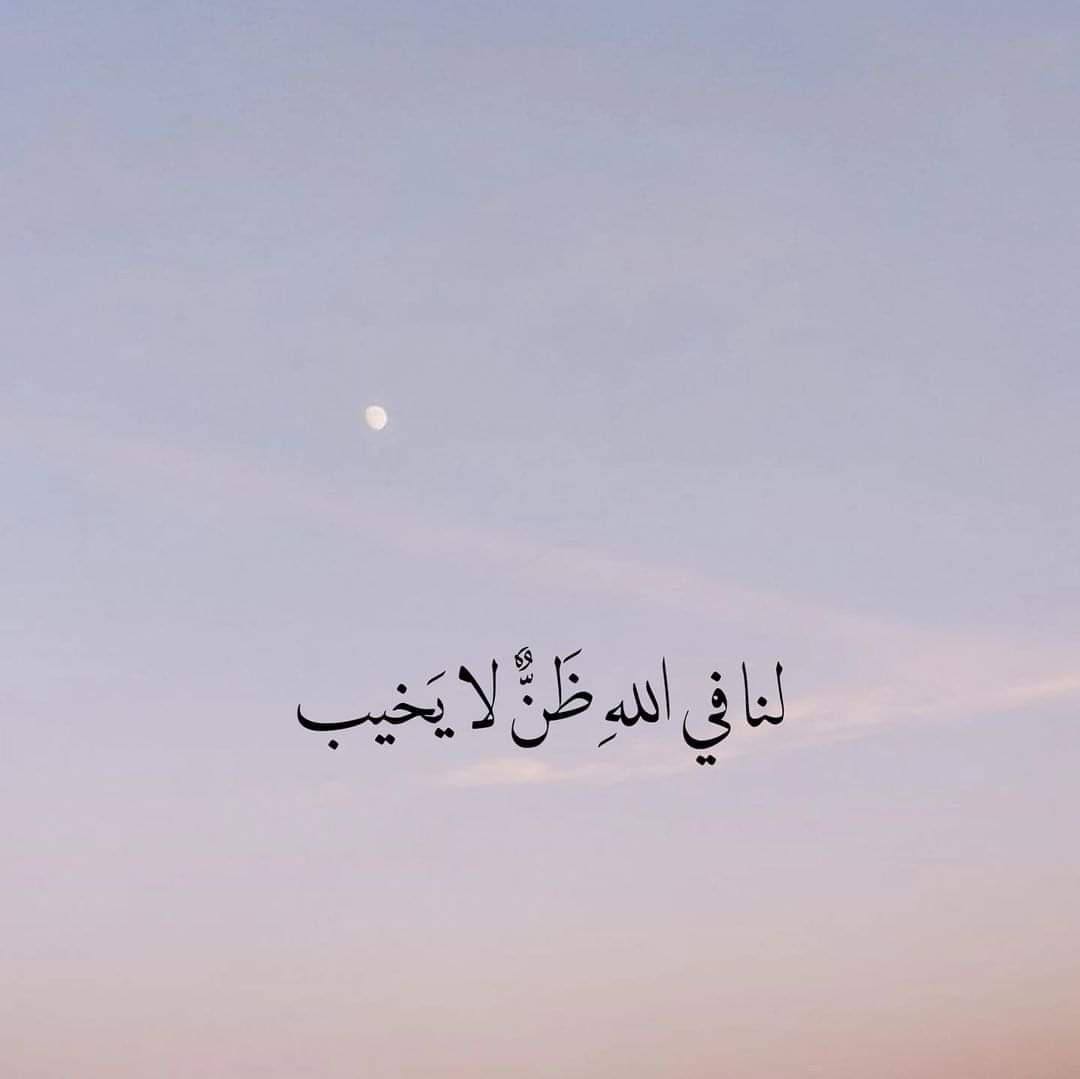 3MoRy tweet media