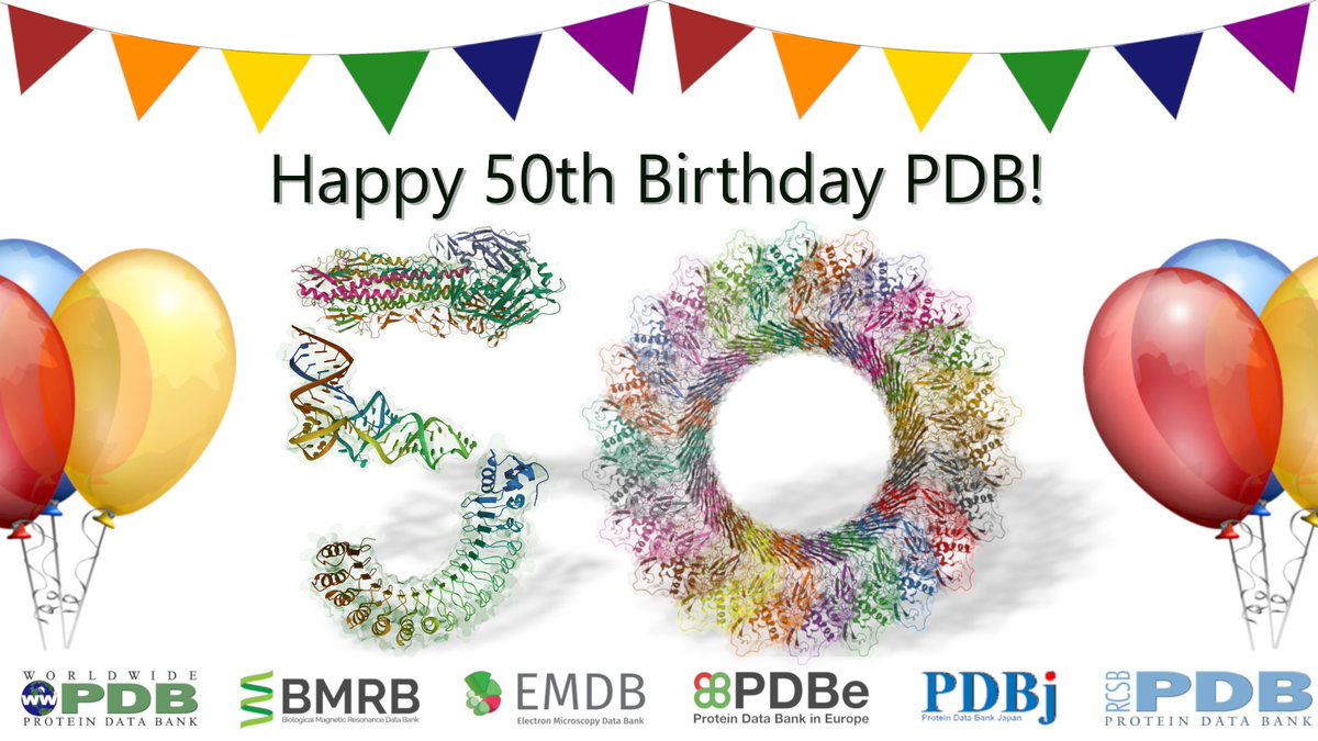 PDBeurope's tweet image. Happy Birthday to us! Today marks 50 years since the original announcement of the #PDB archive. PDBe is proud to jointly manage the PDB with our wwPDB colleagues (@buildmodels, @PDBj_en). Here’s to the next 50 years! #PDB50 wwpdb.org/pdb50