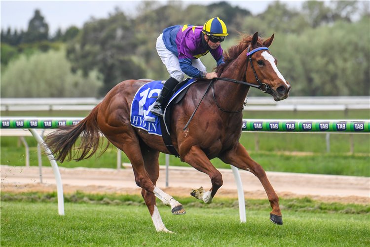 Well deserved maiden stakes win by @MakybeS bred RAINBIEL bringing up TORONADO's 8th individual Australian Stakeswinner 🥳🥳🥳🥳 
4 Fillies/Mares
4 Colts/Geldings