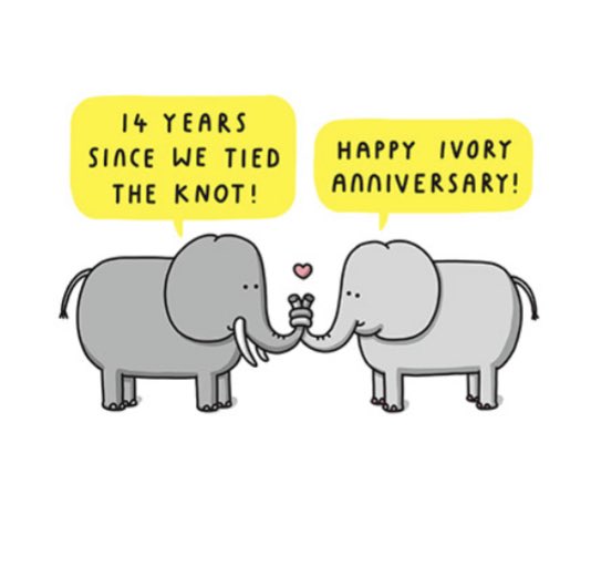 Good morning Twitterati. It’s my wedding anniversary today. 14 years. #ivory