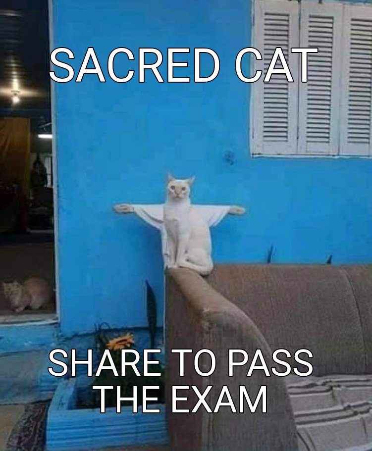 AlexBean tweet media