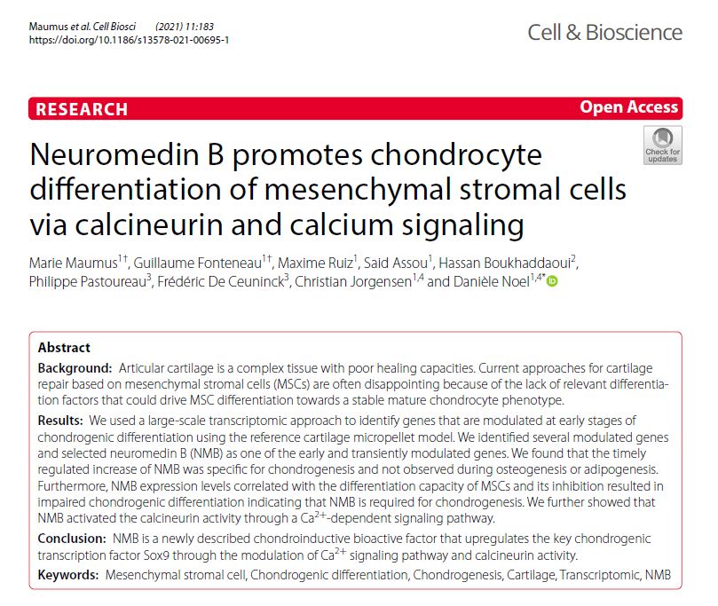 IRMB10's tweet photo. We just showed that NMB (neuromedin B) is a novel factor implicated in the early stages of the differentiation of mesenchymal stromal cells into chondrocytes. Take a look !! https://t.co/SivglePBmJ