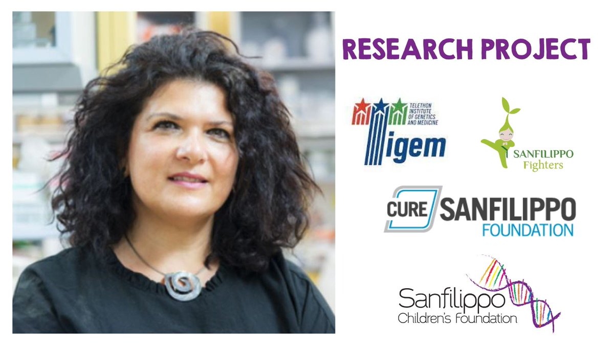 SFCFoundtn's tweet photo. @EDeLeonibus from @Tigem_Telethon has received funding from @SFCFoundtn, @CureSanfilippoF (USA) &amp; Sanfilippo Fighters (Italy) to continue to investigate #dopamine and #heparanSulfate in #Sanfilippo behavioural symptoms. More info: https://t.co/8C4oUbkEFn #MPSIII https://t.co/WpzXTuZoh4