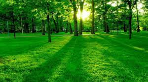 PrentissSee's tweet photo. An intelligent person is like a river, the deeper the less noise. https://t.co/arE1bYazL2